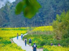 -新安江山水画廊风景区
