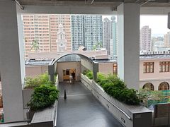 -香港大学