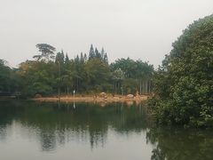 -荔枝公园(福田区)
