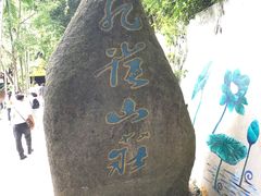 -西双版纳原始森林公园