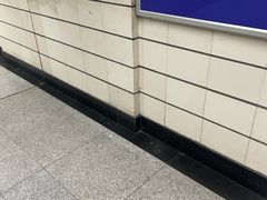 -上海科技馆(地铁站)