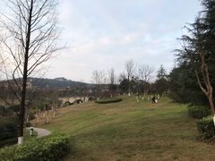 -铁山坪森林公园