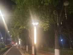 -聚龙湖公园