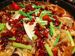 -老板恋上鱼(高新万达店)