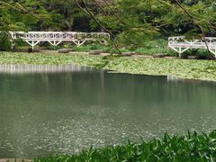 -荔枝公园(福田区)
