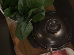 -同仁四季椰子鸡(无锡滨湖万象汇店)