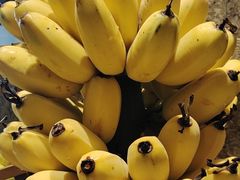 -好望角大饭店(肇嘉浜路店)