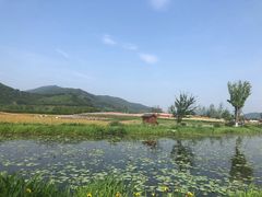 -径山花海