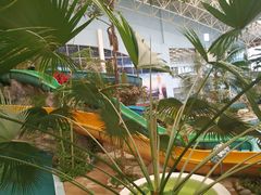 -龙脉温泉室内游泳馆