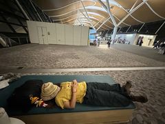 -上海浦东国际机场-T2航站楼