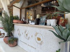 -Sirena海妖日咖夜酒