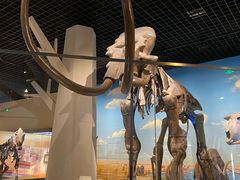 -国家自然博物馆