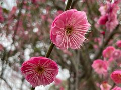 -上海野生动物园