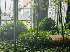 -广州富力君悦大酒店空中花园