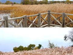 -野鸭湖国家湿地公园