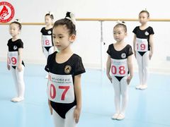 -西安小天鹅艺术团(曲江Alice店)