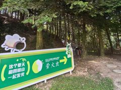 -四明山国家森林公园