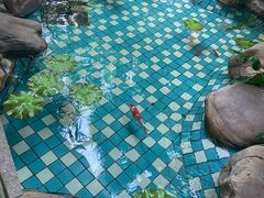 -大鹅岛绿色生态美食园