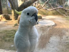 -杭州野生动物世界