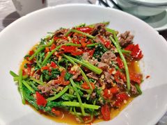 香菜炒牛肉-壹盏灯(惠农店)