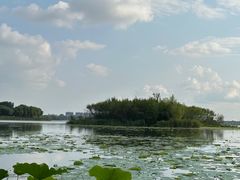 -丁香湖公园