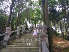 -阳台山森林公园
