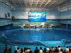 -多彩贵州城极地海洋世界