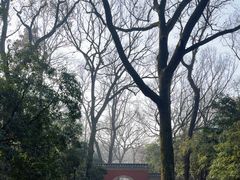 -灵谷景区