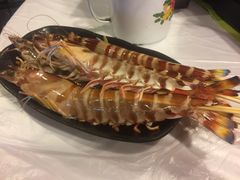 -鲜入围煮花胶鸡海鲜火锅