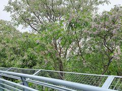 -合肥野生动物园