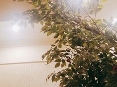 -北平小馆·烤鸭·家常菜(磨房北里店)