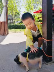 -萌宠亲子动物乐园(槐房万达店)