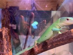 -正佳雨林生态植物园