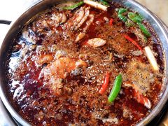 -蜀滋香鲜鱼美蛙火锅(339店)