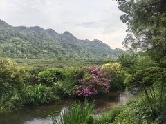 -中国茶叶博物馆(双峰馆区)