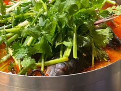 凯里酸汤鱼火锅锅底-泉味道贵州厨房(三里河店)