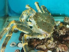 -海大大蒸汽海鲜餐厅·粤菜·特色小炒(欢乐颂店)