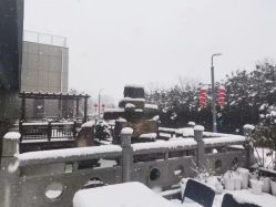 -安琪朵朵独栋花园月子中心