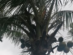 -白沙门生态公园