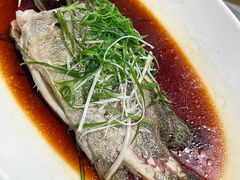 -唐御宴•御宴宫•唐代菜点(芙蓉西路店)