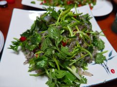 -全乐鱼馆·淳牌有机鱼直营店