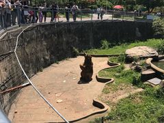 -无锡动物园·太湖欢乐园