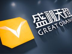 -上海盛视天橙传媒股份有限公司