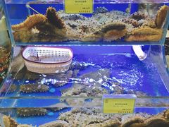 -新海渔港·胶东海鲜家常菜·家宴(奥体中心店)