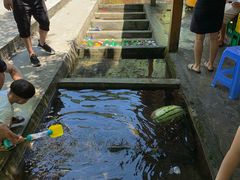 -源泉冷水鱼庄(小鱼洞店)