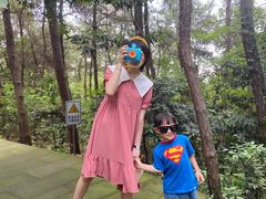 -铁山坪森林公园