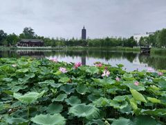 -西海子公园