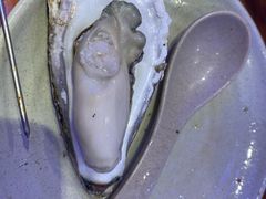 高压锅大蚝-千岛蚝高压锅生蚝·人参火锅(白云万达店)