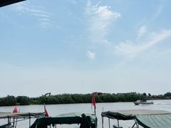 -洪湖生态旅游区