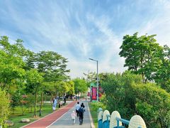 -上海长兴岛郊野公园
